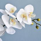 Arranjo Orquídea Artificial Vaso De Cerâmica Branco| Formosin